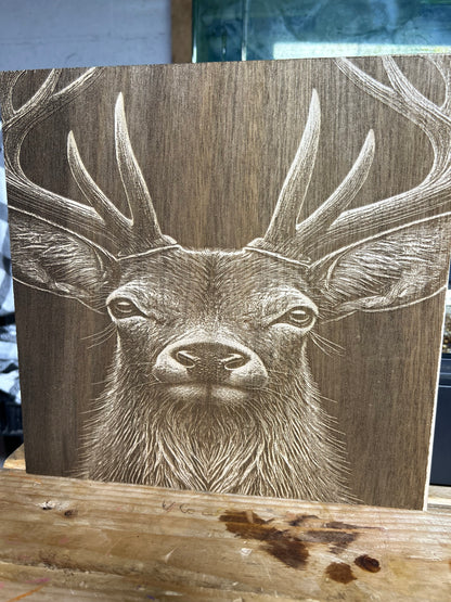 10x10 wood Custom photo engraving